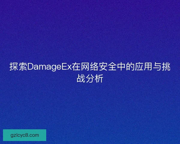 探索DamageEx在网络安全中的应用与挑战分析