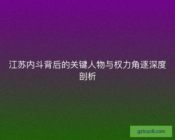 江苏内斗背后的关键人物与权力角逐深度剖析