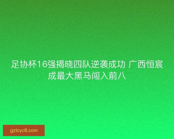 足协杯16强揭晓四队逆袭成功 广西恒宸成最大黑马闯入前八